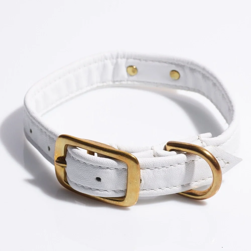 Leather Dog Collar by Hound Collection with Gold Bar Logo
